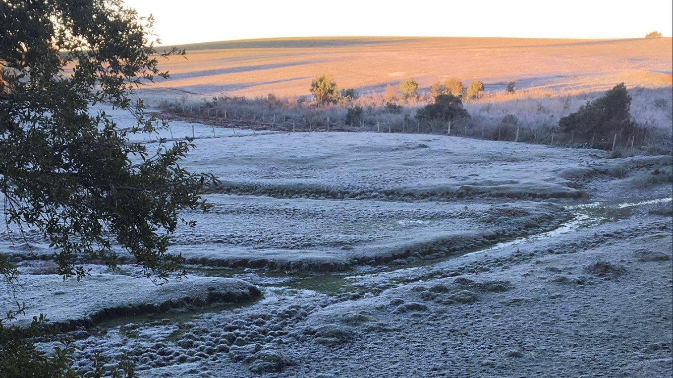 O amanhecer no Distrito de Val de Serra, em J&uacute;lio de Castilhos, teve geada neste domingo
