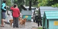 Presença das casinhas de cães tem provocado polêmica nos últimos meses na Capital