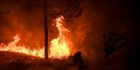 Bombeiros lutam desde sábado contra um incêndio numa região montanhosa do centro de Portugal