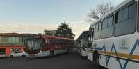 Ônibus voltaram a circular no bairro Cascata, em Porto Alegre