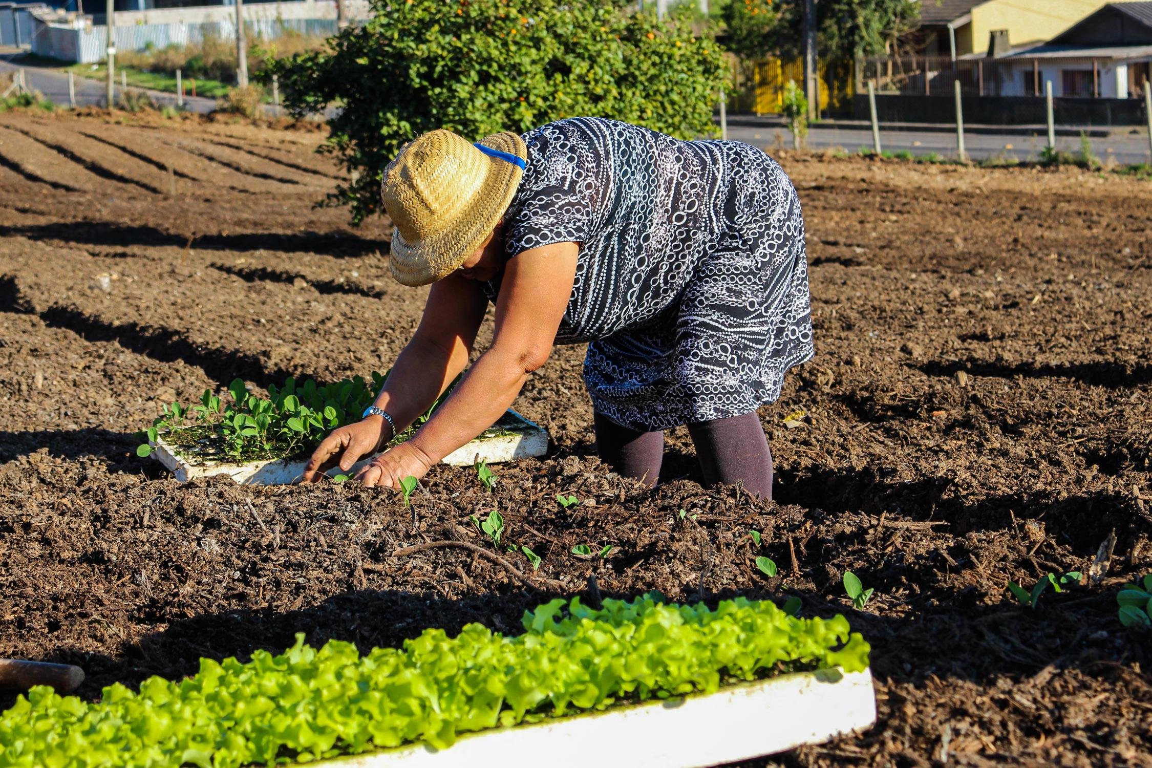Programa ajuda 60 fam&iacute;lias em seis &aacute;reas de cultivo