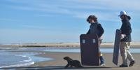 Lobo-marinho-do-sul foi solto na praia do Cassino, no sul do Estado