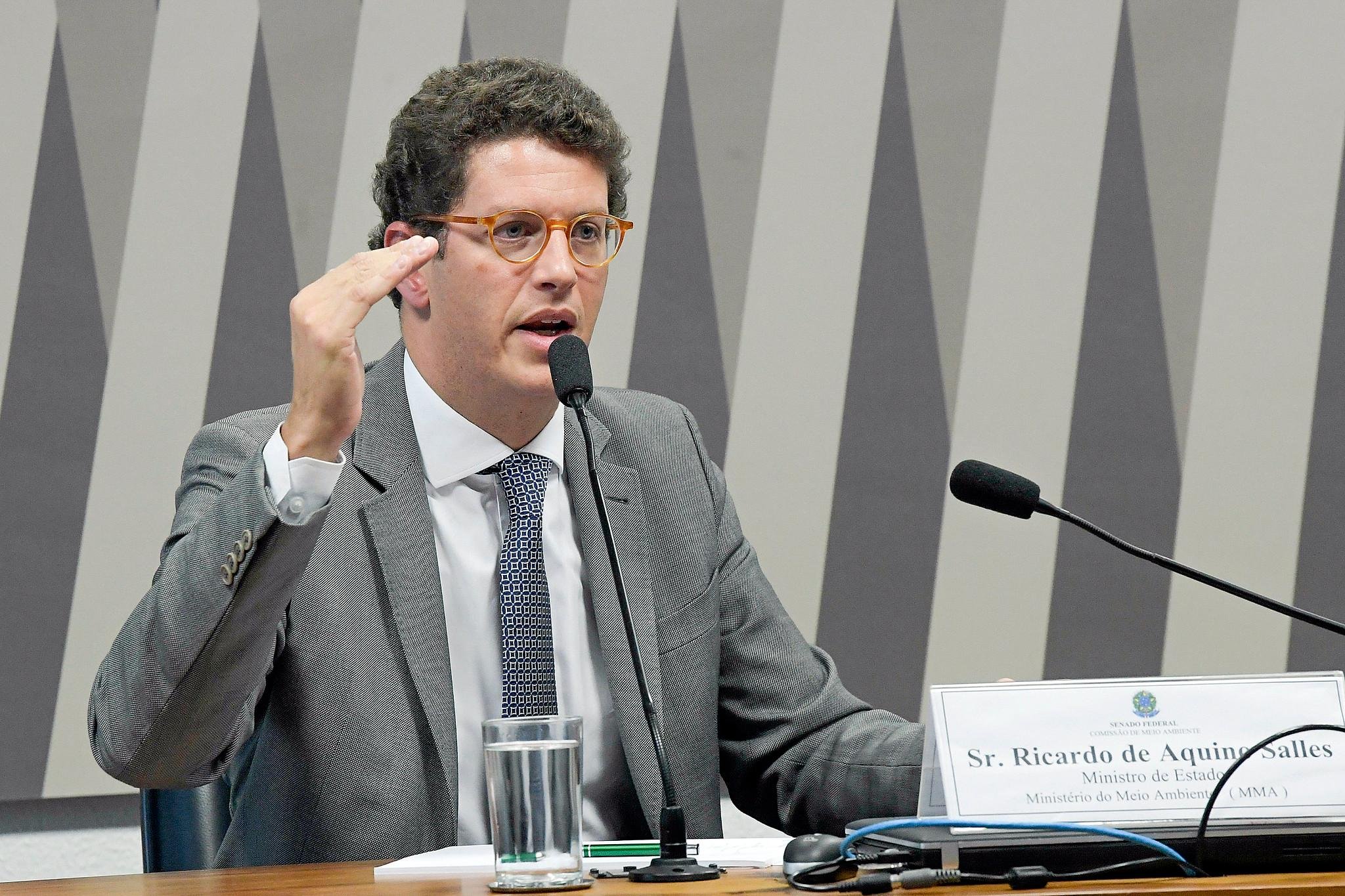 Salles negou ter dito que os n&uacute;meros recentes sobre o desmatamento na Amaz&ocirc;nia, que geraram a pol&ecirc;mica que levou &agrave; demiss&atilde;o do presidente do Inpe, foram manipulados
