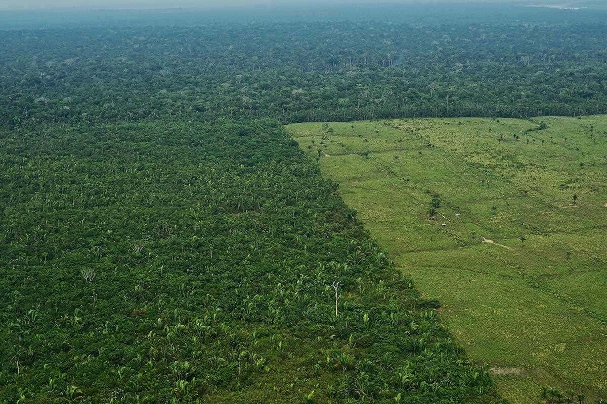 Noruega &eacute; a principal financiadora do Fundo Amaz&ocirc;nia e, em julho, n&atilde;o aceitou a proposta do governo de Jair Bolsonaro de alterar a gest&atilde;o do programa