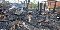 Incêndio destruiu duas casas na Ilha do Pavão