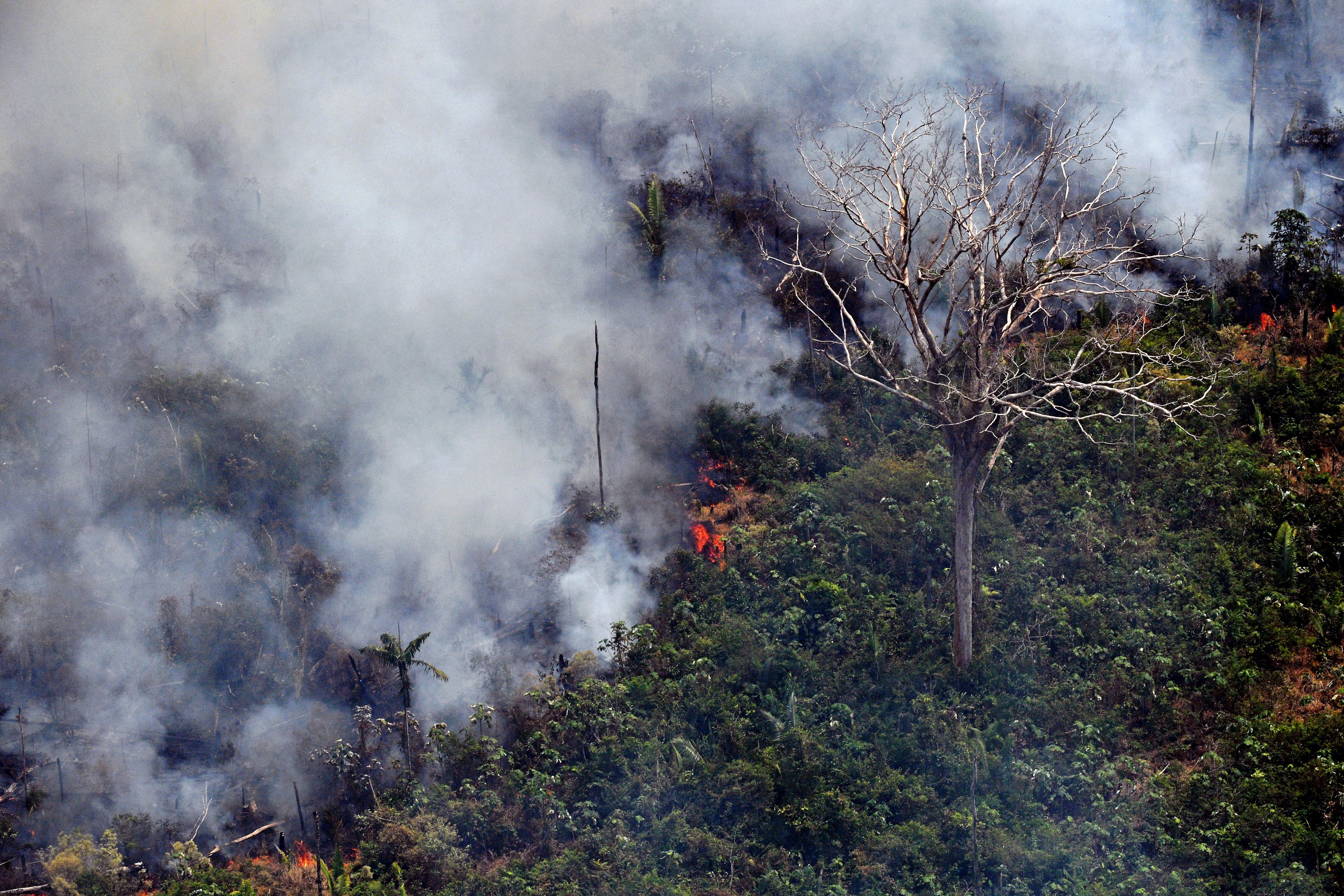 Governo usa avi&otilde;es para combater inc&ecirc;ndios na Amaz&ocirc;nia