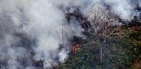 Governo usa aviões para combater incêndios na Amazônia