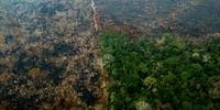 Imagens aéreas mostram parte da floresta destruída após queimadas
