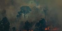 Rondônia é quinto estado com mais incêndios neste ano, cerca de 6.436