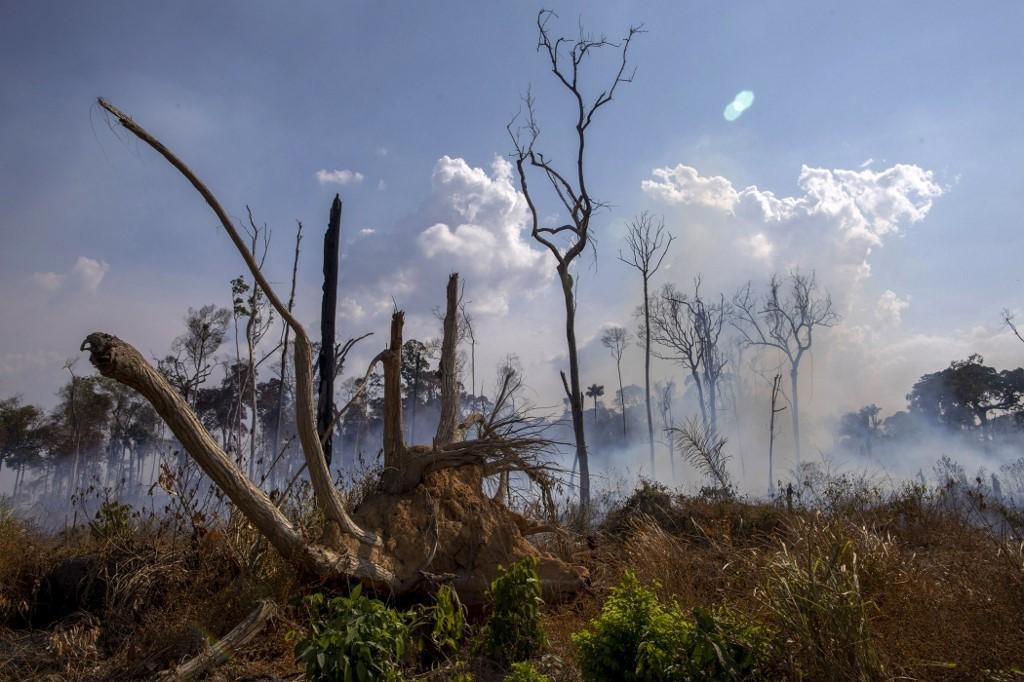 Combate ao inc&ecirc;ndio contou com a ajuda da For&ccedil;a Nacional de Seguran&ccedil;a P&uacute;blica