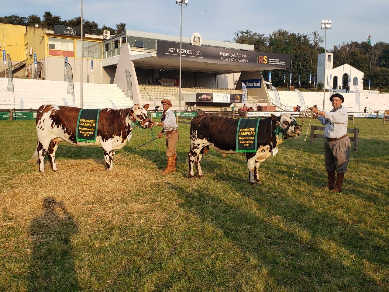 Premia&ccedil;&atilde;o ocorreu nesta segunda-feira na 42&ordf; Expointer