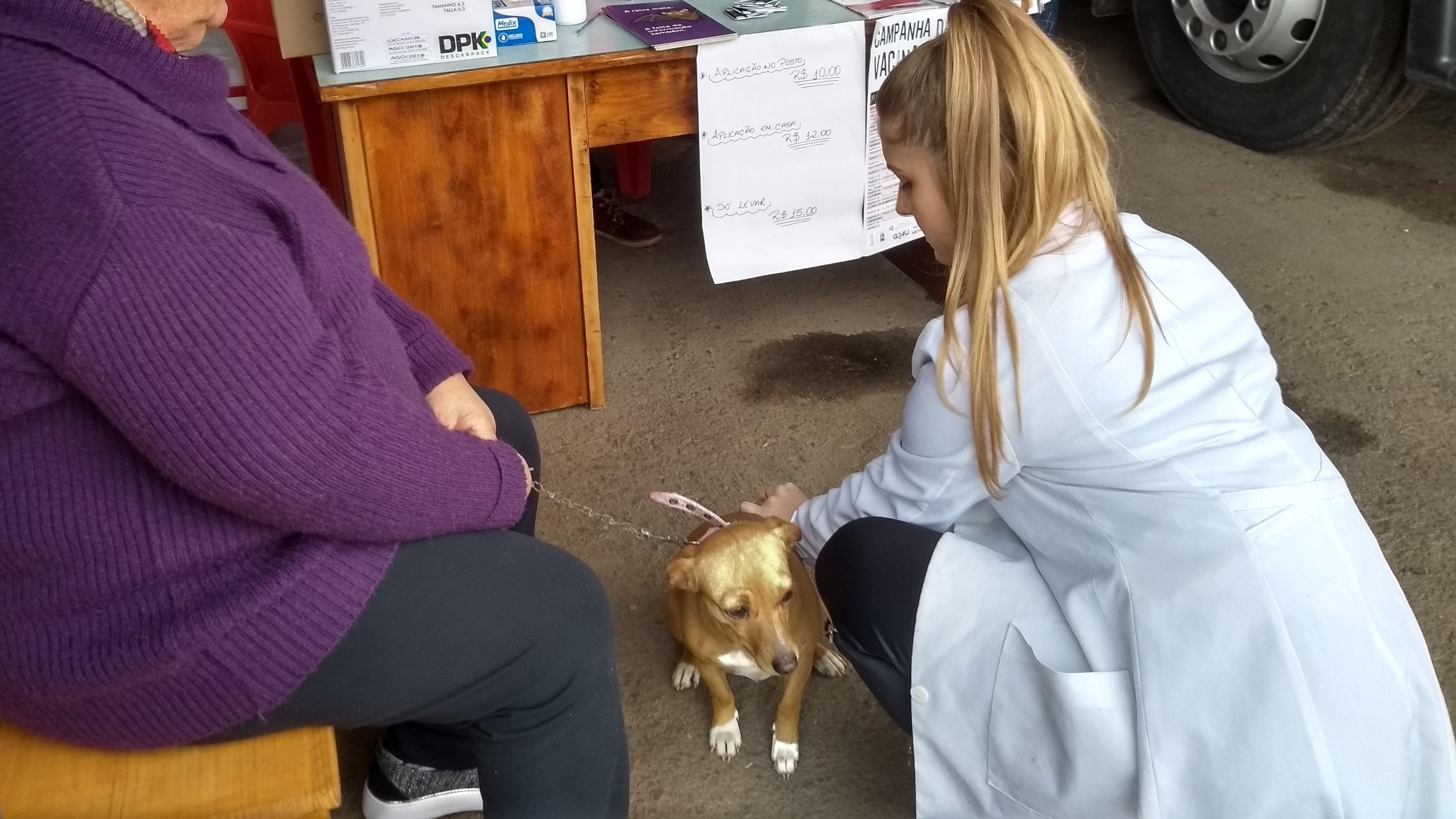 A raiva &eacute; uma doen&ccedil;a infecciosa e pode ser transmitida ao homem pela saliva dos animais
