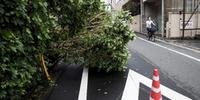 Tufão causou problemas nos transportes em Tóquio