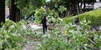 Tufão deixou rastro de destruição em Tóquio