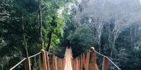 Ponte pênsil leva à aldeia indígena e trilhas ecológicas