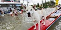 Inundações se devem a dois fenômenos meteorológicos: tormenta Podul e depressão tropical Kajiki