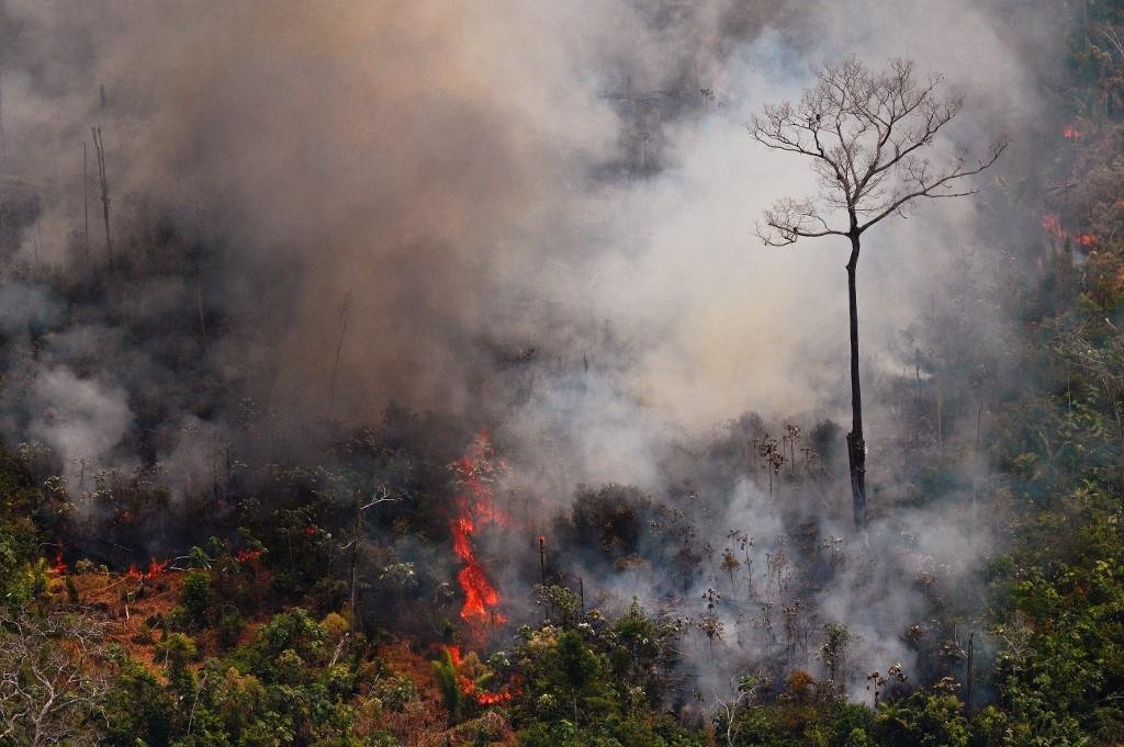 Estudo do Instituto Fiocruz analisou dados de 700 munic&iacute;pios nos nove estados da regi&atilde;o amaz&ocirc;nica