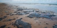 Óleo atingiu mais de 100 praias do litoral do Nordeste