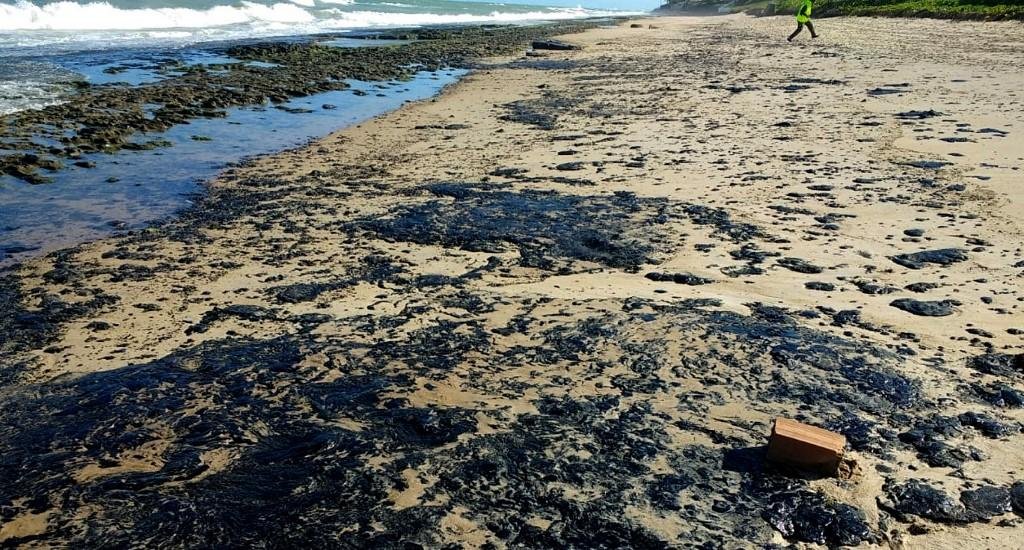 General Fernando Azevedo e Silva diz que investiga&ccedil;&atilde;o est&aacute; focada em saber a origem e n&atilde;o o respons&aacute;vel