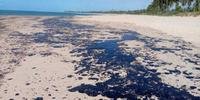 Catorze praias baianas foram atingidas por manchas de óleo
