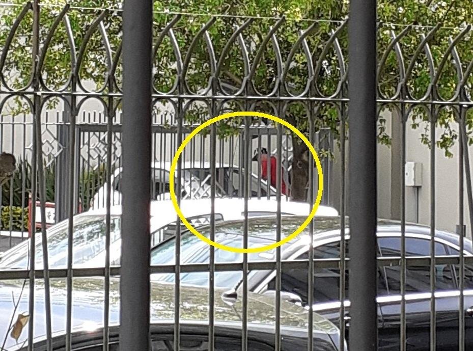 C&acirc;mera de monitoramento registrou abordagem do man&iacute;aco sexual na cancela do estacionamento de um supermercado no bairro Cidade Baixa