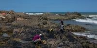 Voluntários fazem a limpeza do óleo no litoral da Bahia