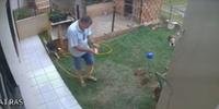 Homem no Paraná explodiu quintal ao tentar matar baratas
