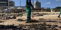 Funcionário da prefeitura de Salvador limpa óleo presente na areia da praia de Pituba