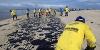 Mais de 525 toneladas de resíduos foram retiradas das praias do litoral dos estados da Região Nordeste atingidas por manchas de óleo, desde o início dos trabalhos de limpeza, afirmou a Marinha