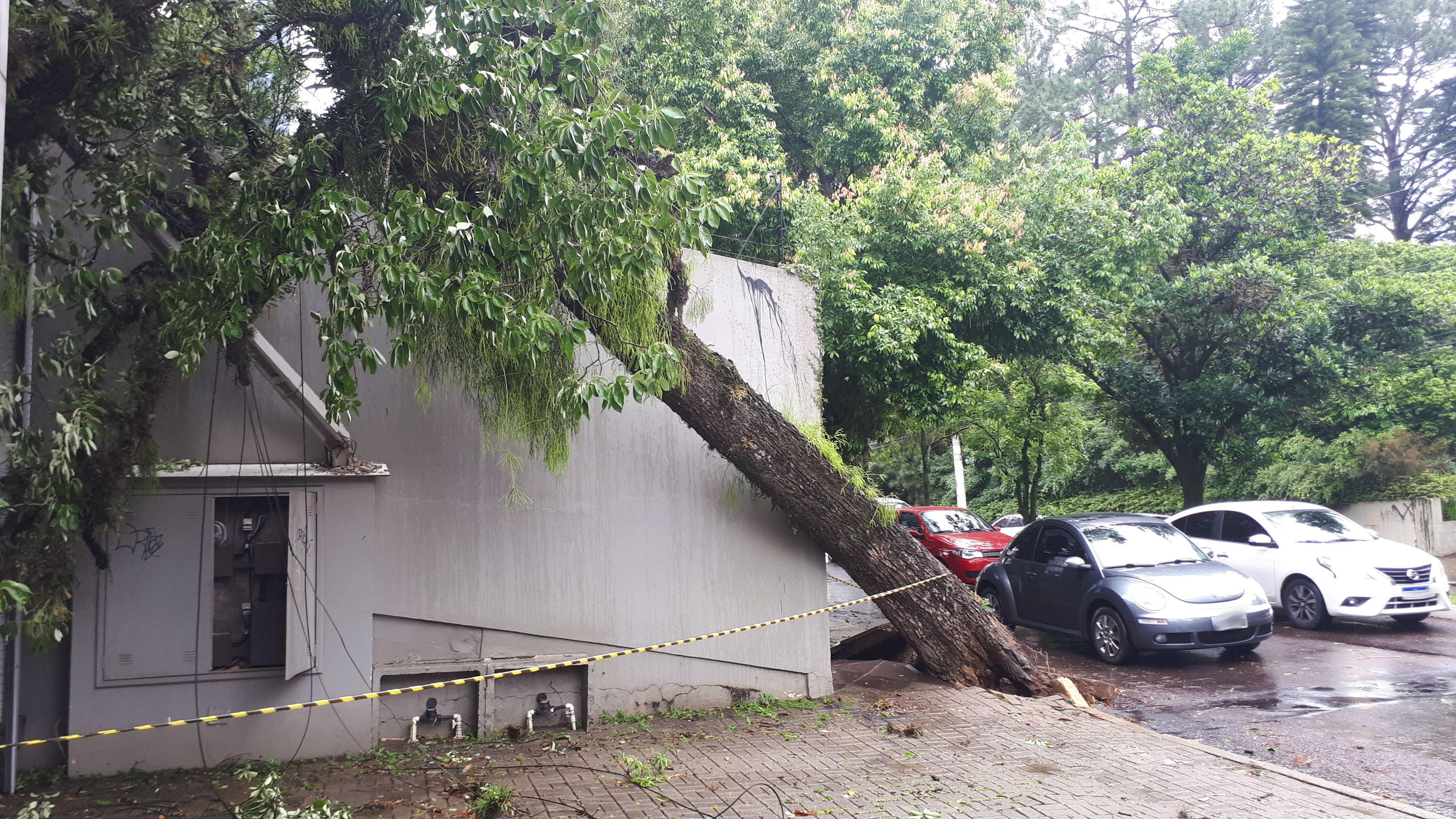 Vendaval provocou estragos em Novo Hamburgo