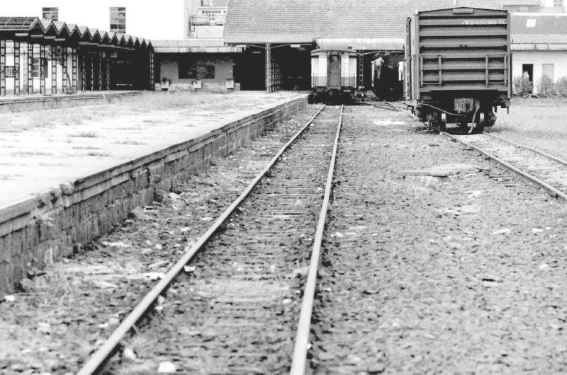 Havia car&ecirc;ncia de vag&otilde;es de carga para o transporte de mercadorias