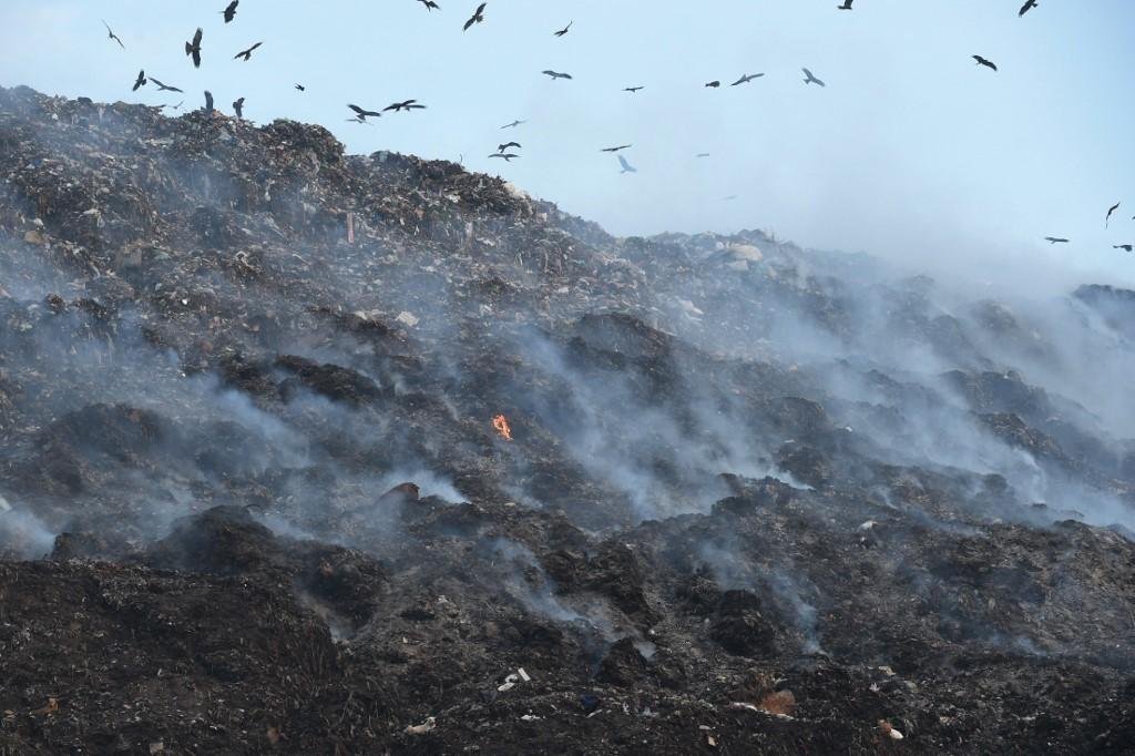 Cientistas alertam que medidas urgentes devem ser tomadas contra crise clim&aacute;tica
