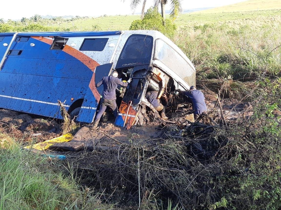 &Ocirc;nibus teria colidido com b&uacute;falos que atravessavam a BR 290. no km 514
