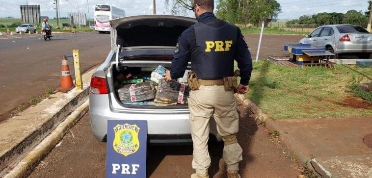 Apreens&atilde;o ocorreu no estado do Paran&aacute;
