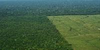Ritmo de desmatamento em áreas protegidas deste ano foi maior do que em toda a Amazônia em 2018