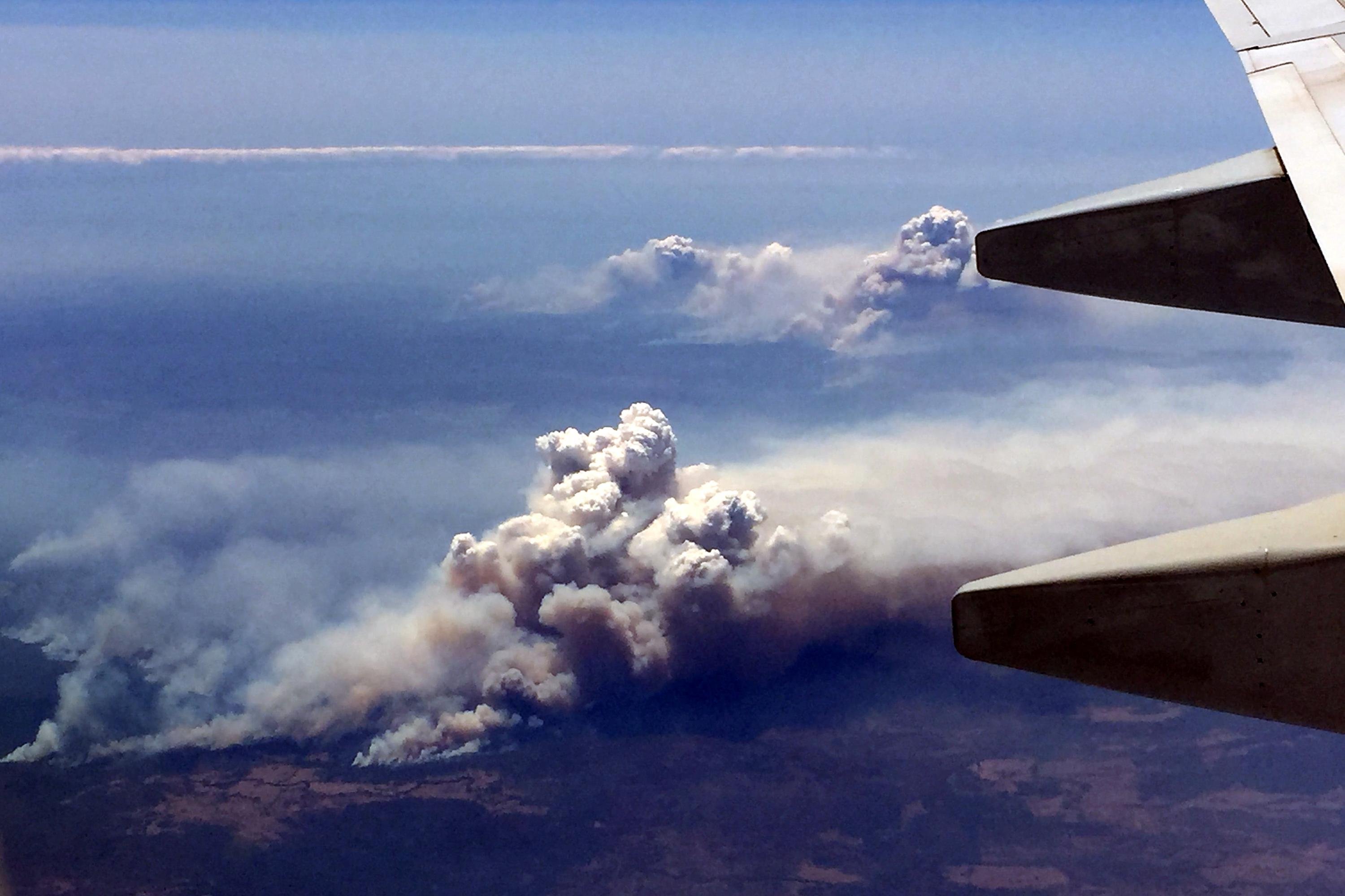 Inc&ecirc;ndios florestais j&aacute; atingem sete locais da costa sul australiana