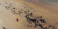 Manchas de óleo já atingiram praias do Rio de Janeiro
