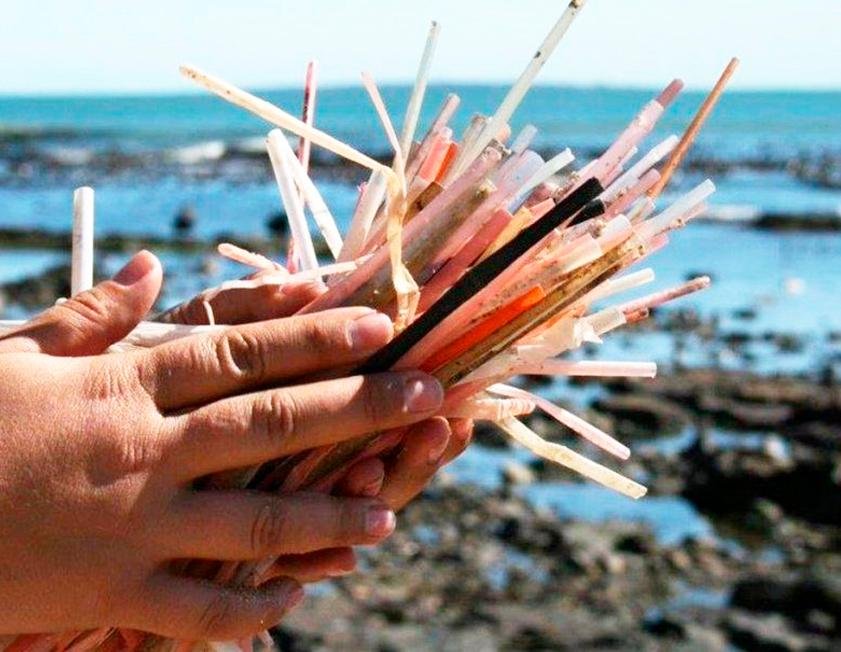 A exce&ccedil;&atilde;o do texto vale apenas para a utiliza&ccedil;&atilde;o de canudos de papel biodegrad&aacute;vel
