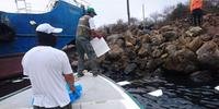 Contingente tenta evitar tragédia ambiental em Galápagos