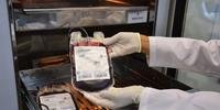 Para evitar a falta de sangue a estratégia durante o mês de dezembro foi intensificar as campanhas de doações