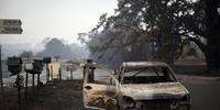 Incêndios destruíram mais de 5,5 milhões de hectares na Austrália