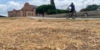 Tempo seco em Porto Alegre deixa gramados, como o da orla do Guaíba, danificados e com coloração amarelada