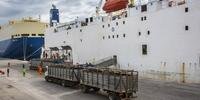 Embarques de gado vivo para a Turquia a partir do Porto de Rio Grande