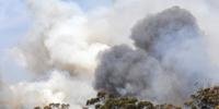 Incêndios devastam Austrália desde setembro do ano passado