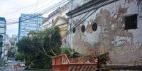 Algumas árvores caíram na fiação da rede elétrica em Porto Alegre