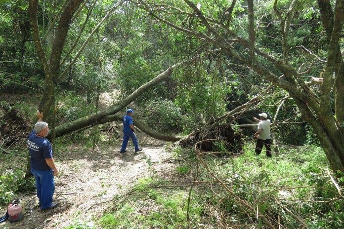 Knijinik fica no bairro Vila Nova, uma das regi&otilde;es mais afetadas pela chuva com vento forte