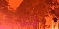 Incêndios começaram em setembro nas áreas verdes da Austrália e devastaram uma área de mais de oito milhões de hectares