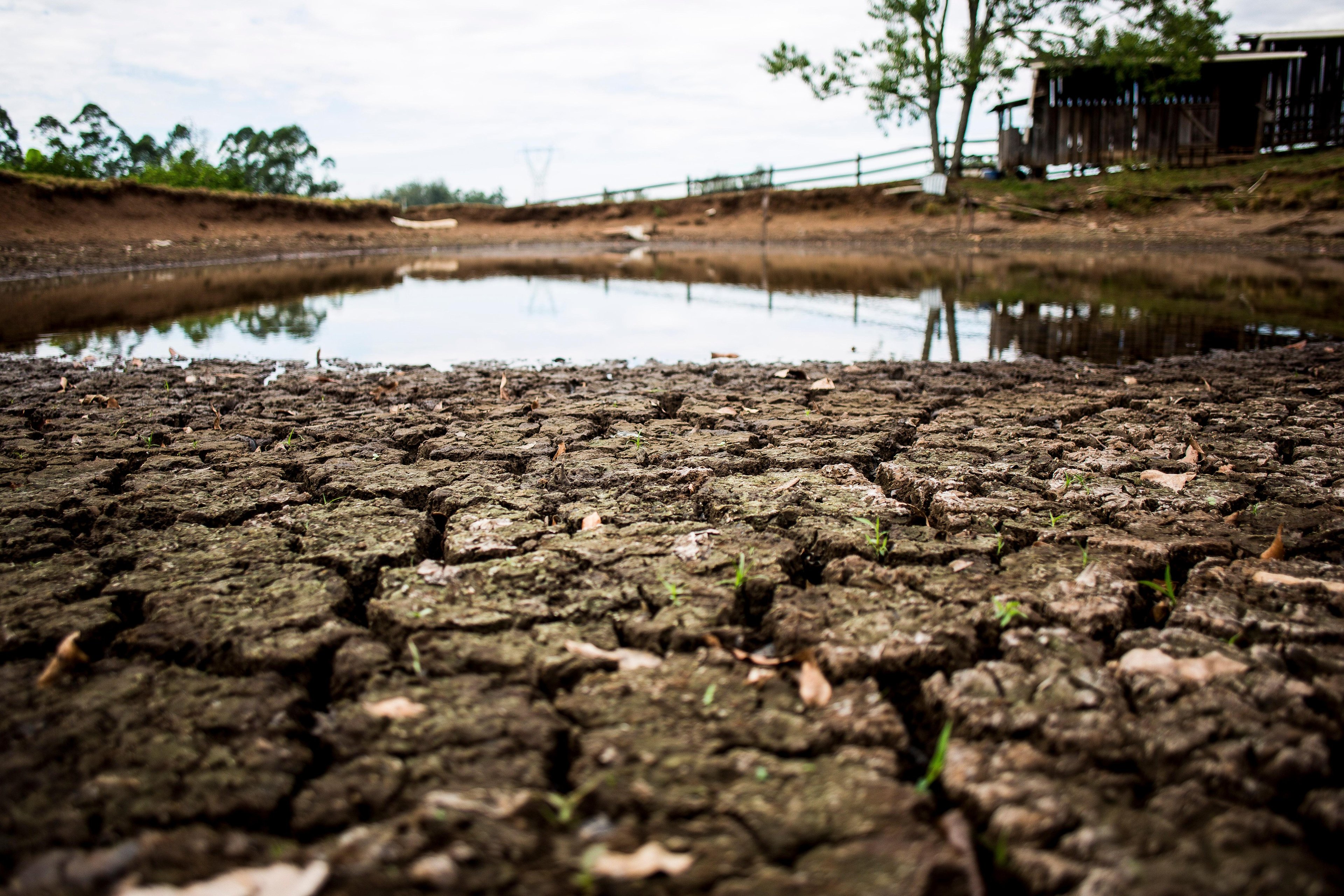Vale do Rio Pardo &eacute; a regi&atilde;o mais afetada pela estiagem