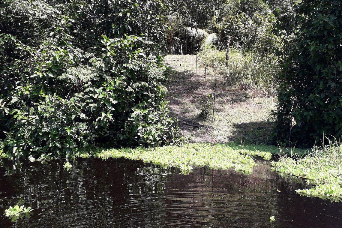 Mais de 20 "aterrados" medindo de um a tr&ecirc;s hectares foram identificados na regi&atilde;o