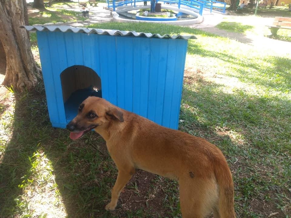 Casa foi instalada na pra&ccedil;a Bar&atilde;o do Rio Branco, no Centro de Uruguaiana